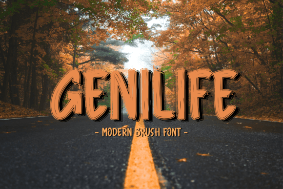 Genilife Font Review